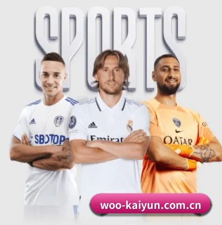 开云 APP 界面（kaiyun）